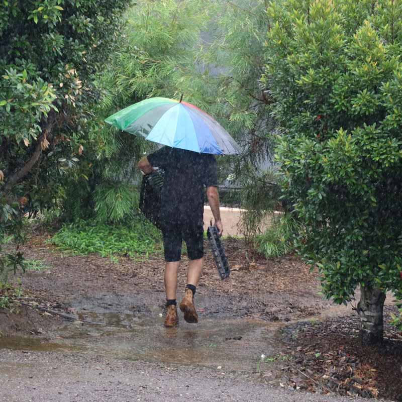 APS-rainy-day