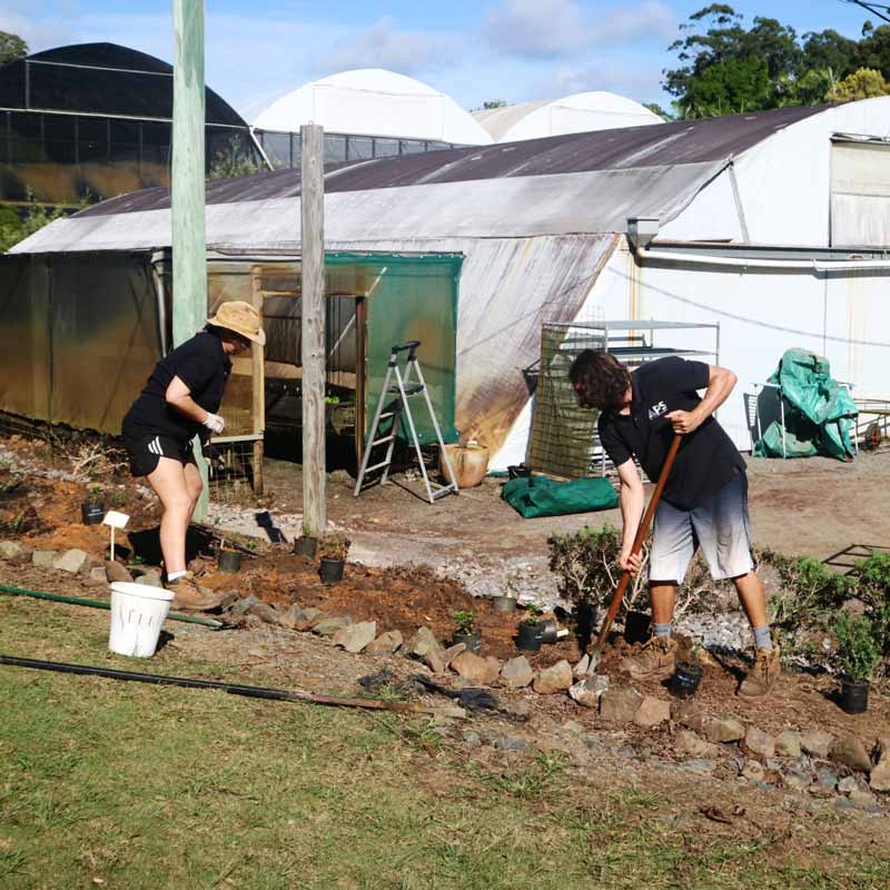 staff-digging-out-a-hedge-1